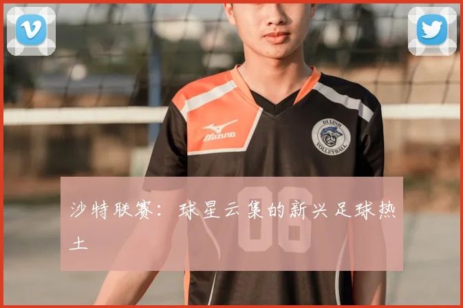 沙特联赛：球星云集的新兴足球热土